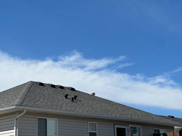 Best Roof Ventilation Installation  in Fox Chase, PA